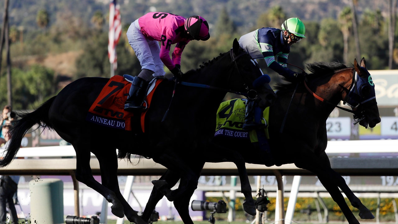 Storm the Court scores 45-1 upset in Breeders' Cup Juvenile
